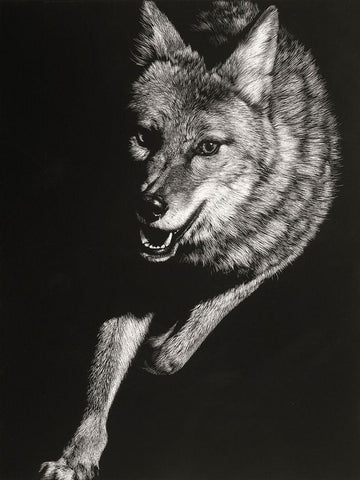 Wild Scratchboard V Black Ornate Wood Framed Art Print with Double Matting by Chapman, Julie T.