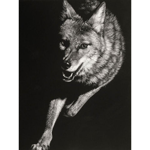 Wild Scratchboard V Black Modern Wood Framed Art Print by Chapman, Julie T.