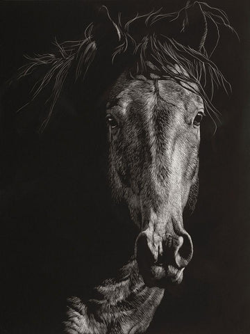 Wild Scratchboard VI White Modern Wood Framed Art Print with Double Matting by Chapman, Julie T.