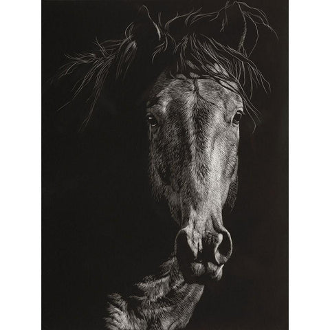 Wild Scratchboard VI White Modern Wood Framed Art Print by Chapman, Julie T.