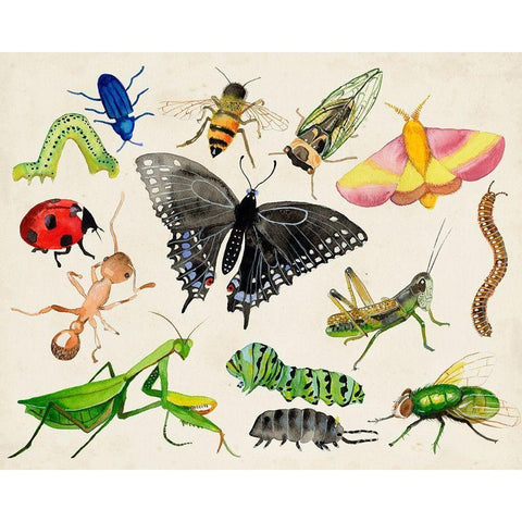 Bugdom I Black Modern Wood Framed Art Print with Double Matting by Ludwig, Alicia