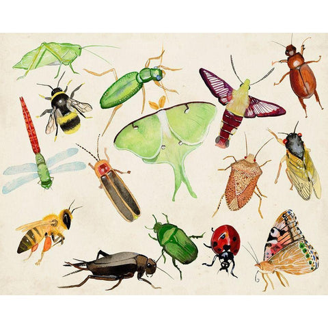 Bugdom II Black Modern Wood Framed Art Print with Double Matting by Ludwig, Alicia