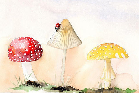 Faerie Mushrooms I Black Ornate Wood Framed Art Print with Double Matting by Ludwig, Alicia