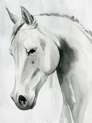 Horse Whisper I Black Ornate Wood Framed Art Print with Double Matting by Popp, Grace