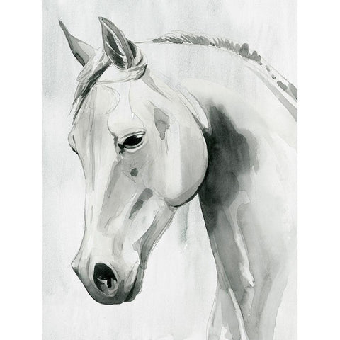 Horse Whisper I White Modern Wood Framed Art Print by Popp, Grace