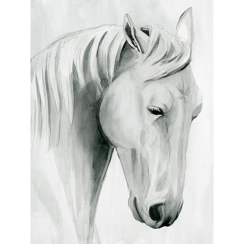 Horse Whisper II Black Modern Wood Framed Art Print with Double Matting by Popp, Grace
