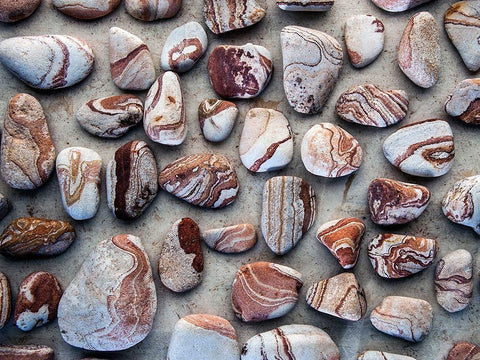 Gifts of the Earth I White Modern Wood Framed Art Print with Double Matting by Ray, Elena