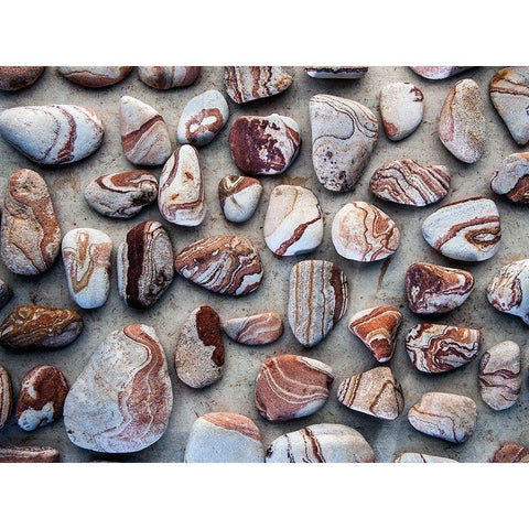 Gifts of the Earth I Black Modern Wood Framed Art Print by Ray, Elena