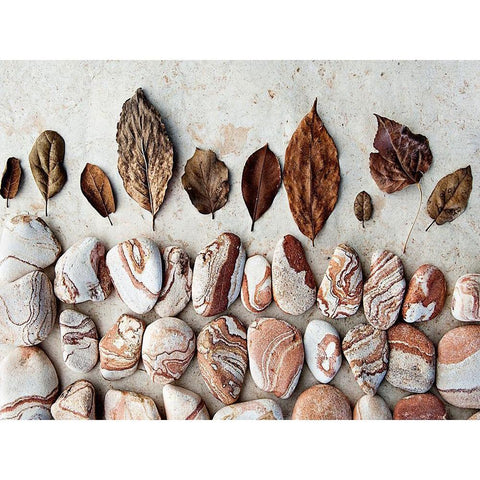 Gifts of the Earth II Gold Ornate Wood Framed Art Print with Double Matting by Ray, Elena