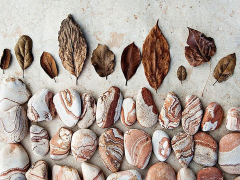 Gifts of the Earth II White Modern Wood Framed Art Print with Double Matting by Ray, Elena