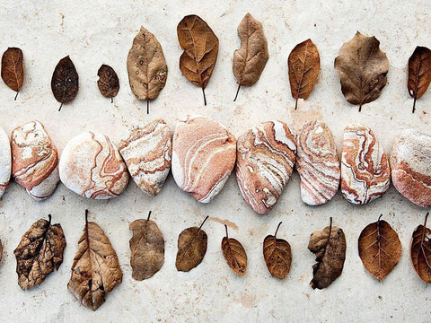 Gifts of the Earth III Black Ornate Wood Framed Art Print with Double Matting by Ray, Elena