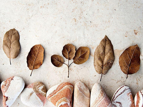 Gifts of the Earth IV Black Ornate Wood Framed Art Print with Double Matting by Ray, Elena