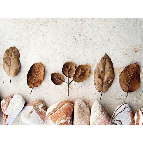 Gifts of the Earth IV White Modern Wood Framed Art Print by Ray, Elena