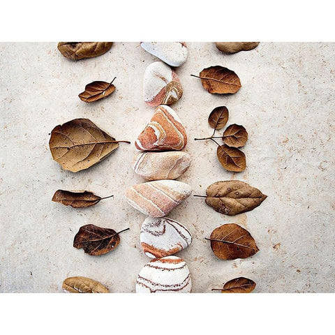 Gifts of the Earth V White Modern Wood Framed Art Print by Ray, Elena