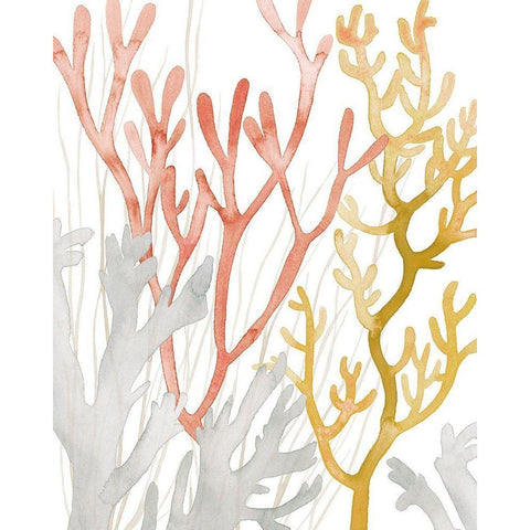 Desert Coral I Black Modern Wood Framed Art Print with Double Matting by Popp, Grace