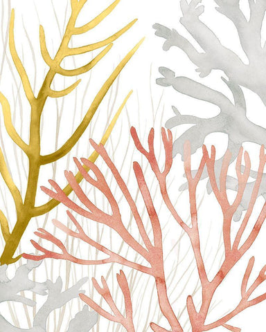 Desert Coral II White Modern Wood Framed Art Print with Double Matting by Popp, Grace