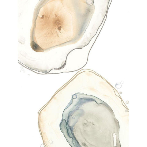 Ocean Oysters III White Modern Wood Framed Art Print by Vess, June Erica