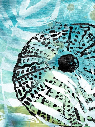 Echinoidia I White Modern Wood Framed Art Print with Double Matting by Vess, June Erica