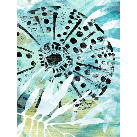 Echinoidia II White Modern Wood Framed Art Print by Vess, June Erica