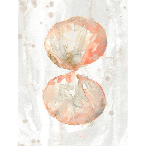 Muted Molusk I White Modern Wood Framed Art Print by Vess, June Erica