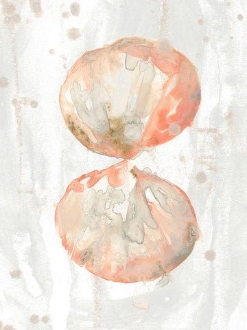 Muted Molusk I White Modern Wood Framed Art Print with Double Matting by Vess, June Erica