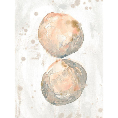 Muted Molusk II Black Modern Wood Framed Art Print with Double Matting by Vess, June Erica