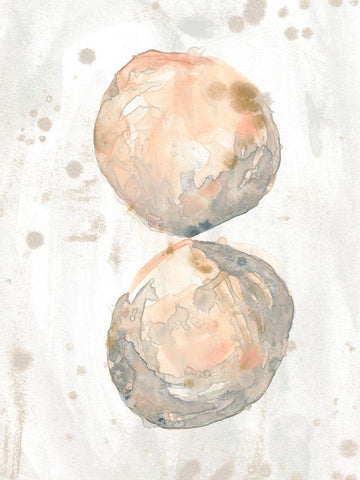 Muted Molusk II White Modern Wood Framed Art Print with Double Matting by Vess, June Erica