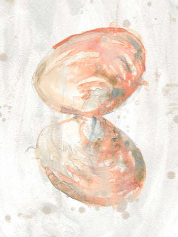 Muted Molusk III White Modern Wood Framed Art Print with Double Matting by Vess, June Erica