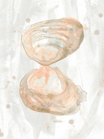 Muted Molusk IV Black Ornate Wood Framed Art Print with Double Matting by Vess, June Erica