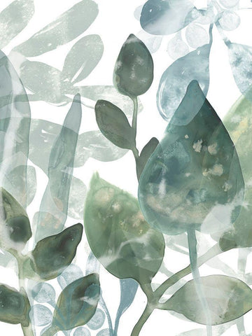 Aquatic Leaves I White Modern Wood Framed Art Print with Double Matting by Vess, June Erica