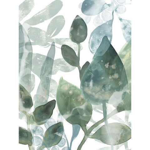 Aquatic Leaves I Black Modern Wood Framed Art Print by Vess, June Erica