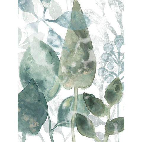 Aquatic Leaves II Gold Ornate Wood Framed Art Print with Double Matting by Vess, June Erica