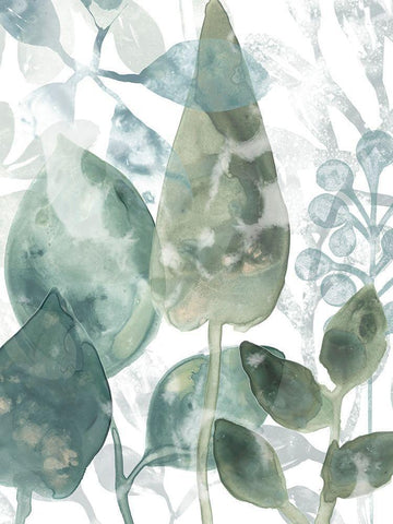 Aquatic Leaves II White Modern Wood Framed Art Print with Double Matting by Vess, June Erica