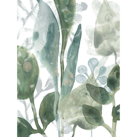 Aquatic Leaves III White Modern Wood Framed Art Print by Vess, June Erica
