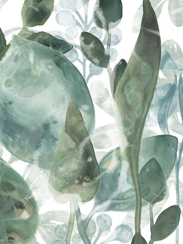 Aquatic Leaves IV White Modern Wood Framed Art Print with Double Matting by Vess, June Erica