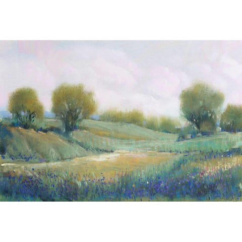 Paysage I White Modern Wood Framed Art Print by OToole, Tim