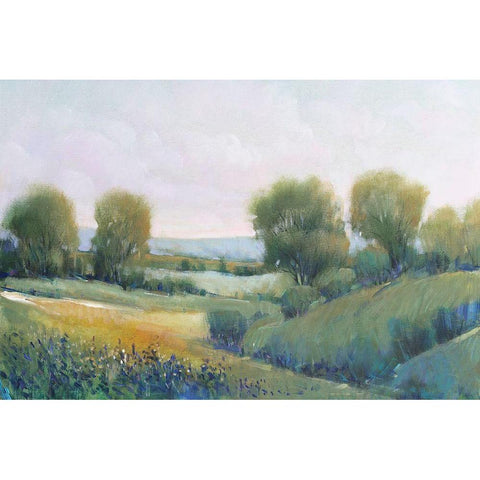 Paysage II Black Modern Wood Framed Art Print with Double Matting by OToole, Tim