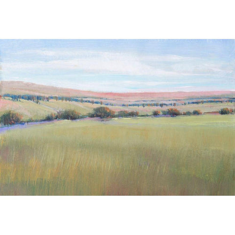Hill Country I White Modern Wood Framed Art Print by OToole, Tim