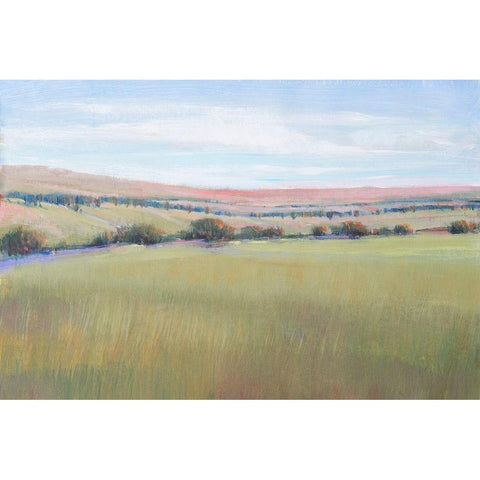 Hill Country I Black Modern Wood Framed Art Print by OToole, Tim