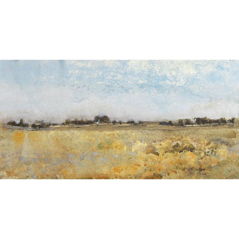 Harvest Field I Black Modern Wood Framed Art Print with Double Matting by OToole, Tim