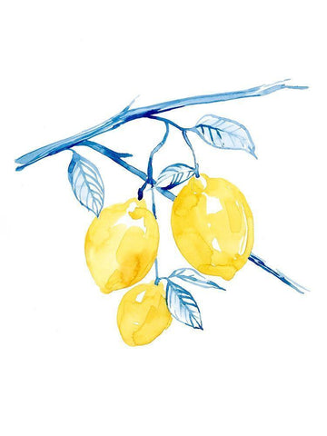 Cobalt Limon I White Modern Wood Framed Art Print with Double Matting by Popp, Grace