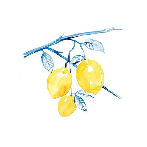 Cobalt Limon I White Modern Wood Framed Art Print by Popp, Grace