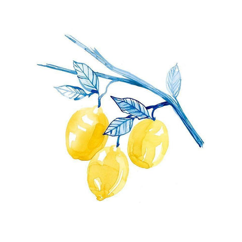 Cobalt Limon II White Modern Wood Framed Art Print by Popp, Grace