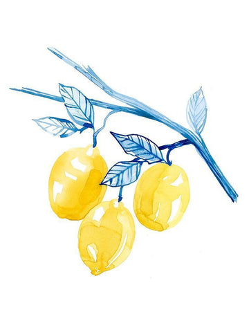 Cobalt Limon II White Modern Wood Framed Art Print with Double Matting by Popp, Grace