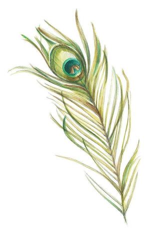 Gold Watercolor Peacock Feather I (ASH) Black Ornate Wood Framed Art Print with Double Matting by Harper, Ethan