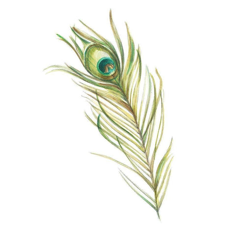 Gold Watercolor Peacock Feather I (ASH) Gold Ornate Wood Framed Art Print with Double Matting by Harper, Ethan