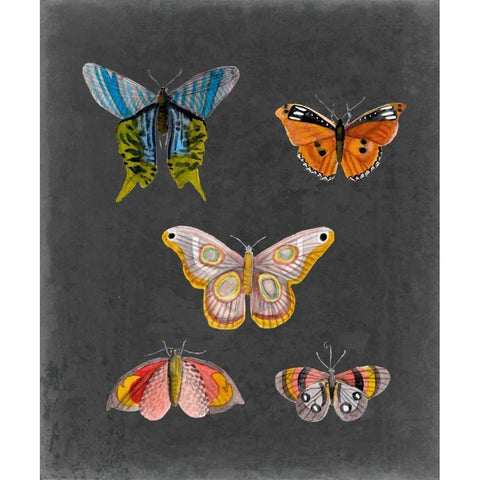 Butterflies on Slate II White Modern Wood Framed Art Print by McCavitt, Naomi