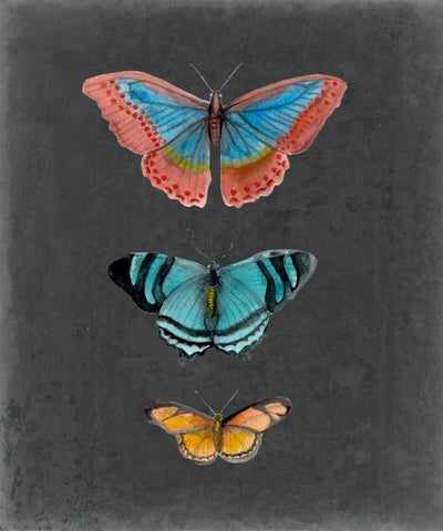 Butterflies on Slate III White Modern Wood Framed Art Print with Double Matting by McCavitt, Naomi