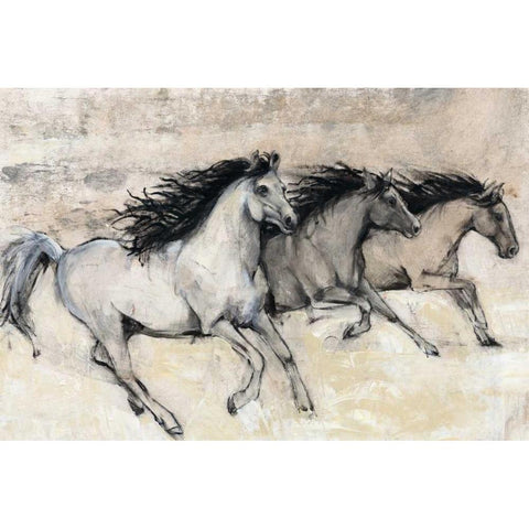 Horses in Motion II White Modern Wood Framed Art Print by OToole, Tim