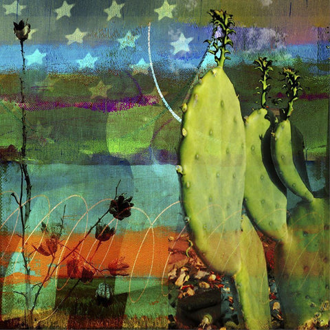 40x40 Cacuts and Flag Collage (ASH) White Modern Wood Framed Art Print by Jasper, Sisa